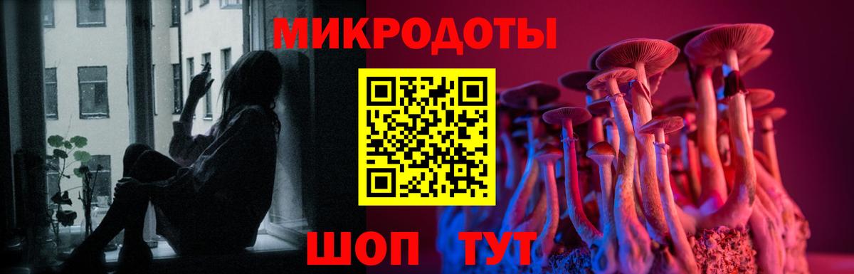 Галлюциногенные грибы Psilocybine cubensis  Вход с VPN  Псилоцибиновые грибы мицелий  продажа наркотиков  Сорочинск 