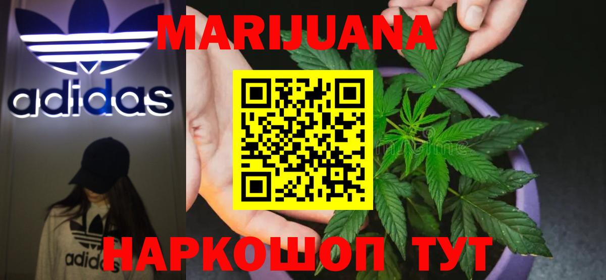 Каннабис план  Канабис планчик  МАРИХУАНА марихуана  Конопля сатива  Сорочинск  Вход с VPN 